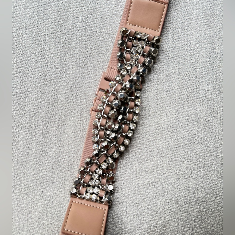BCBGMaxAzria Blush Belt with Silver Accents